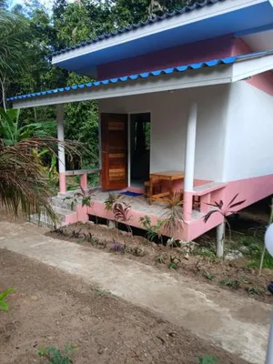 Image of Pineapple gardens