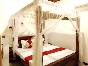 Image of Anu villa Bentota