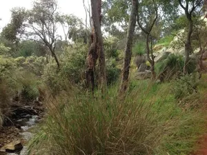 Image of Treetops Cottage