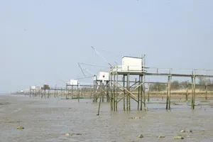 Image of les simons