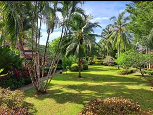 Image of Jasmin Resort - SHA Plus