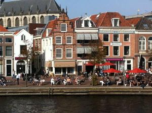 Image of De Witte Olyphant