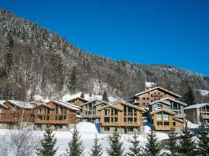 Image of Stylish apartment with dishwasher in charming Megève
