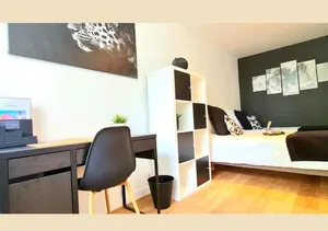 Image of "Le Safari" - 2 lits - Au cœur du Vieux Tours