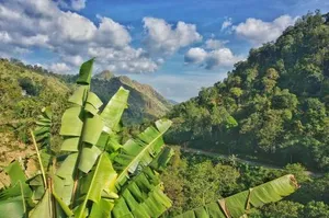 Image of Ella Lucky Panoramic
