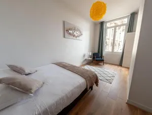 Image of Appartement Le Molière vue sur Loire