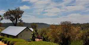 Image of Scarlet Woods Chalets