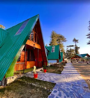 Image of The Alpine Woods