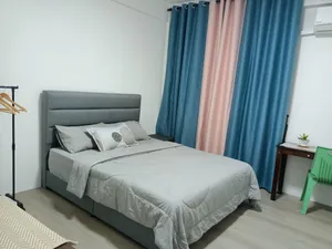 Image of Summer Homestay@civic centre