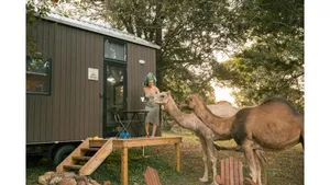 Image of Fig Tree Cottage by Tiny Away