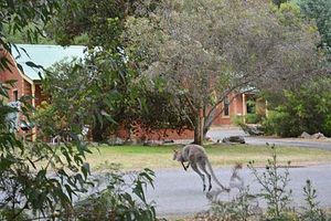 Image of Mountainside Villas Halls Gap