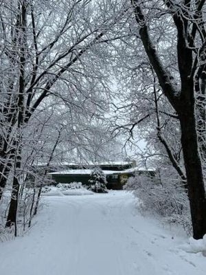 Image of Mid-Century Lakefront Haven Near Wayzata