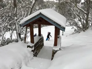 Image of MAGNIFICENT SKIING ON MOUNT BULLER