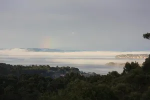 Image of Harbour Lookout