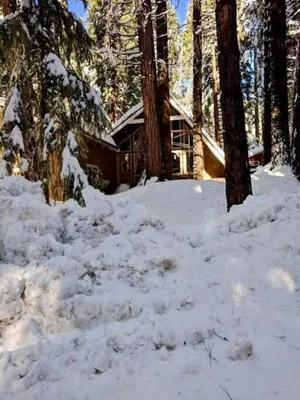 Image of Modern Cabin Get Away - close to APPLE HILL