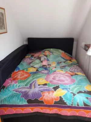 Image of MiJo's