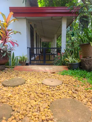 Image of Vihanga Resort