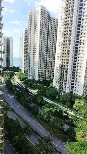 Image of forest city18