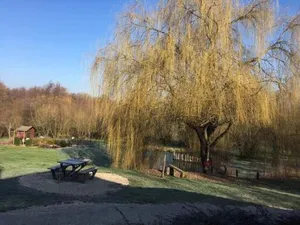 Image of LE DOMAINE DU SENS