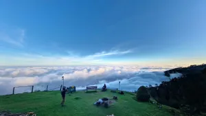 Image of Four Views
