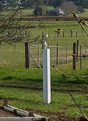 Image of Cradle at Casa Blanca Country Retreat