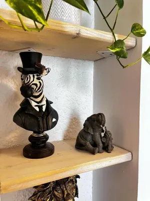 Image of Studio Duplex le Jungle - Bourgoin Centre