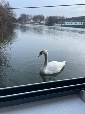 Image of Loft sur l'eau en centre-ville de Compiègne