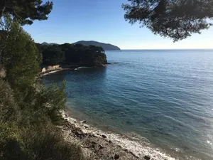 Image of A la mer et a la campagne
