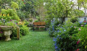 Image of Idor Holidays