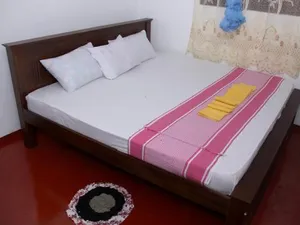 Image of Dilan Guest