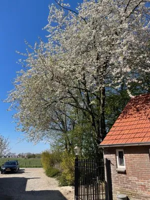Image of B&B Driel