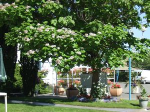 Image of Motel 25