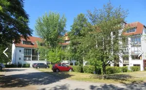 Image of Donaustern