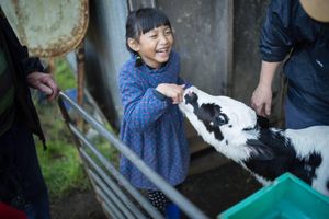 Image of Bellevue Farmstay + Animal Feedings, Tractor Rides