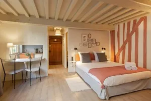 Image of "couleur corail" studio with fireplace - city center