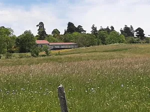 Image of Chez Audrey et Etienne