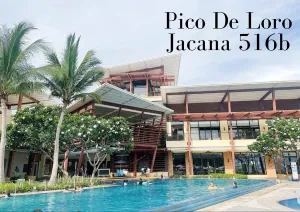 Image of Pico de Loro Jacana 516B