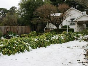 Image of Hollyoak Cottage