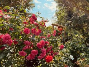 Image of GARDEN VIEW near FRANKFURT ----- STAY LIKE AT HOME -----