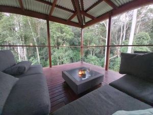 Image of Eucalyptus Escape - Privacy in the Hinterland