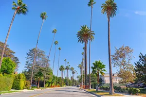 Image of L A Dream Home with Skyline View