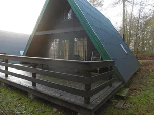 Image of Twistesee 36