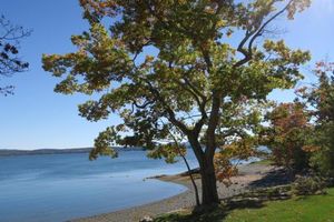 Image of Acadia Ocean Front Garden Cottages