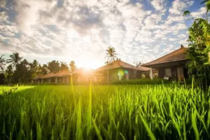 Image of Sri Lestari Banyuatis