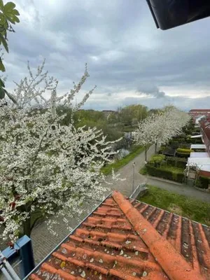 Image of Air Apartments 9