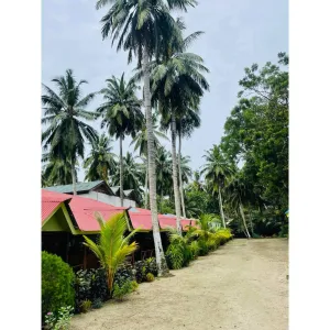 Image of Greenwood Beach Resort