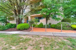 Image of Vibrant 2BR Apt 3 mins to Manuka Terrace