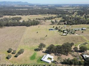 Image of Olives and Vines at Majors Lane