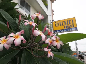 Image of Thanapa Place