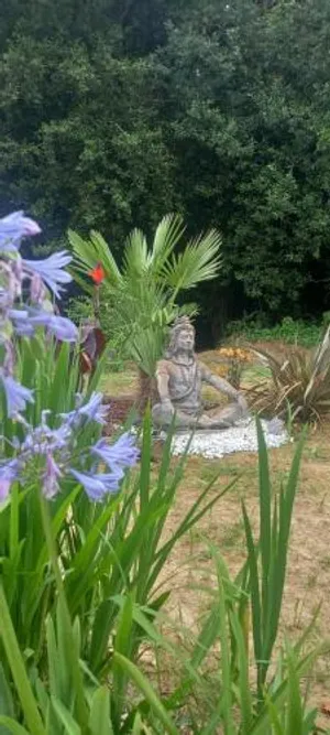 Image of Le chant des oiseaux